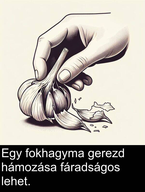 hámozása: Egy fokhagyma gerezd hámozása fáradságos lehet.