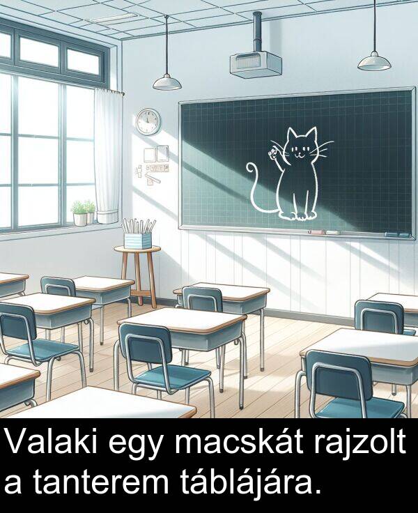 macskát: Valaki egy macskát rajzolt a tanterem táblájára.