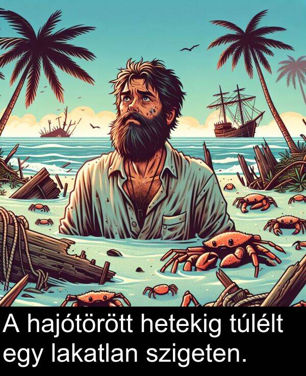 hetekig: A hajótörött hetekig túlélt egy lakatlan szigeten.