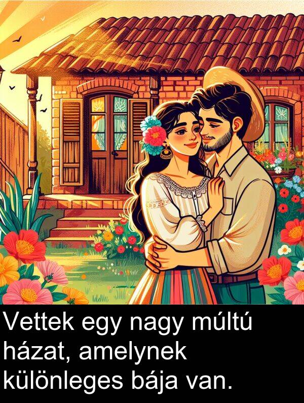 nagy: Vettek egy nagy múltú házat, amelynek különleges bája van.