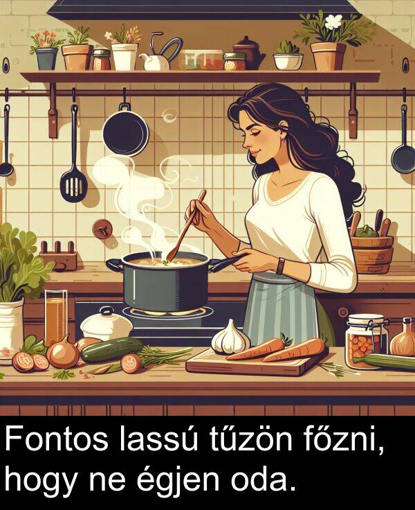 hogy: Fontos lassú tűzön főzni, hogy ne égjen oda.