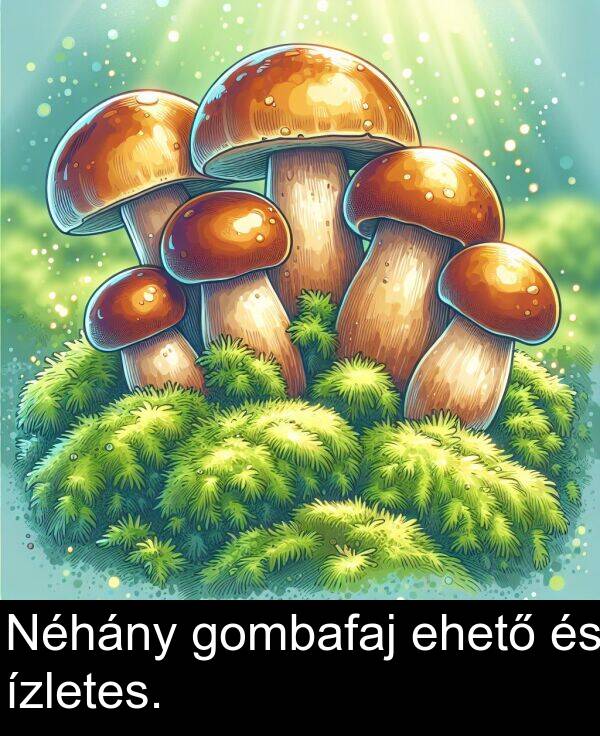 ízletes: Néhány gombafaj ehető és ízletes.