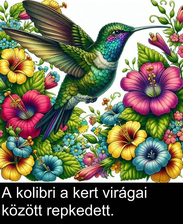 virágai: A kolibri a kert virágai között repkedett.
