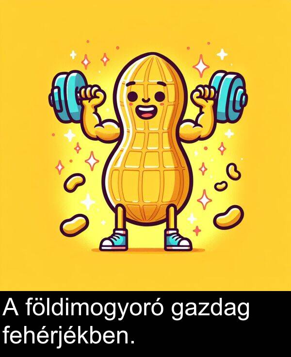 gazdag: A földimogyoró gazdag fehérjékben.