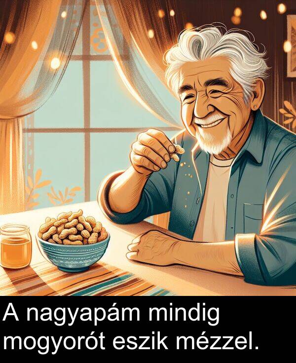 nagyapám: A nagyapám mindig mogyorót eszik mézzel.