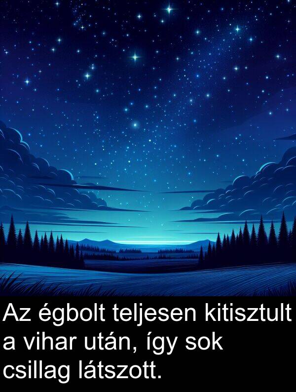 csillag: Az égbolt teljesen kitisztult a vihar után, így sok csillag látszott.