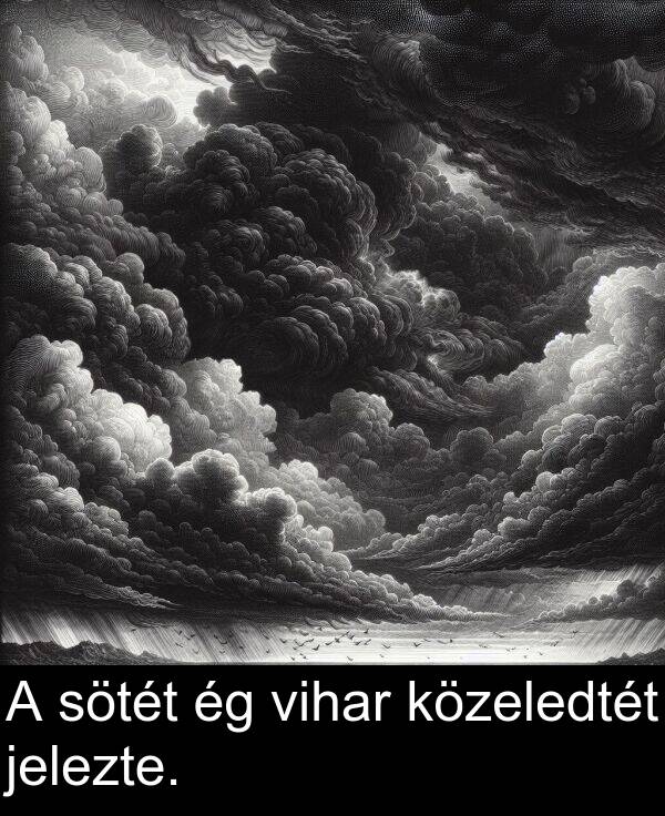 vihar: A sötét ég vihar közeledtét jelezte.