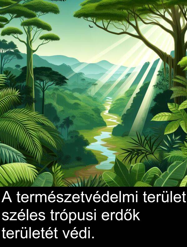 területét: A természetvédelmi terület széles trópusi erdők területét védi.