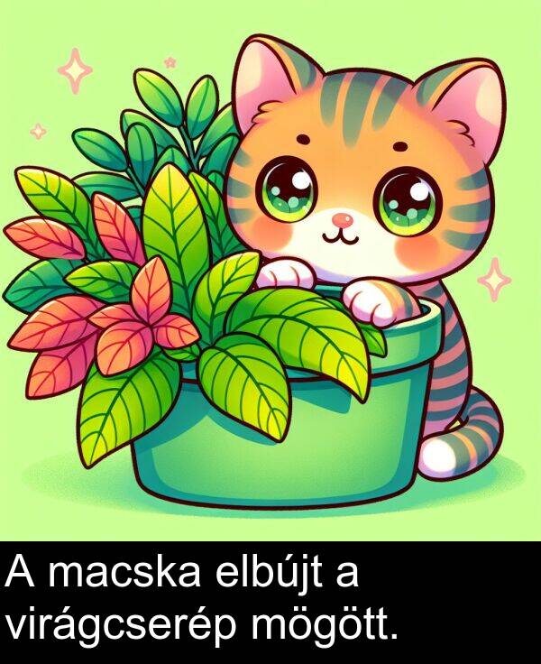 macska: A macska elbújt a virágcserép mögött.