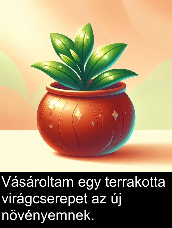 virágcserepet: Vásároltam egy terrakotta virágcserepet az új növényemnek.