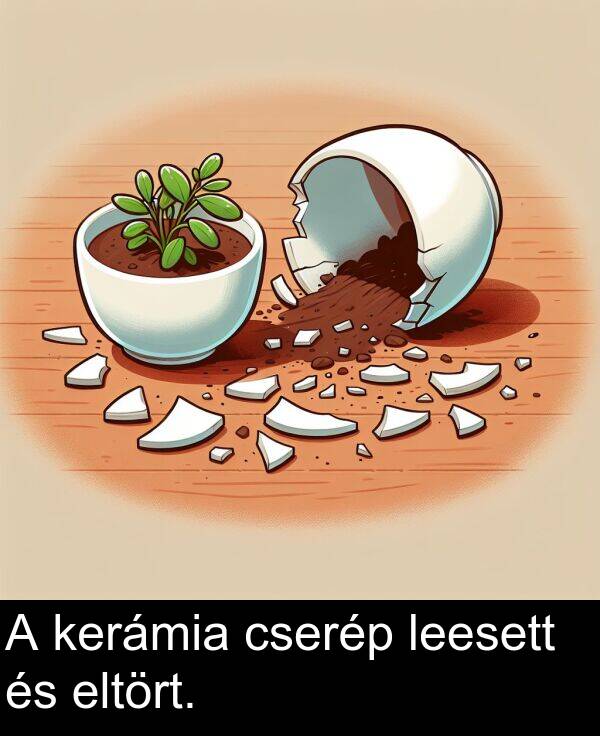 cserép: A kerámia cserép leesett és eltört.