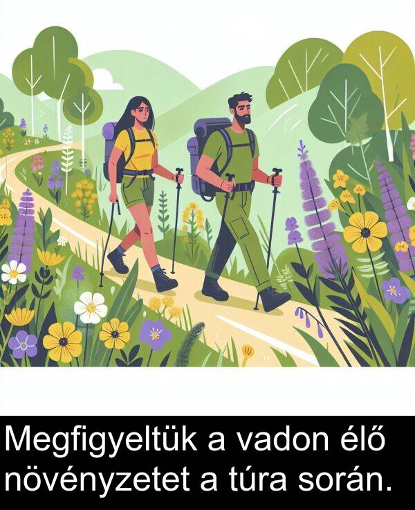 vadon: Megfigyeltük a vadon élő növényzetet a túra során.