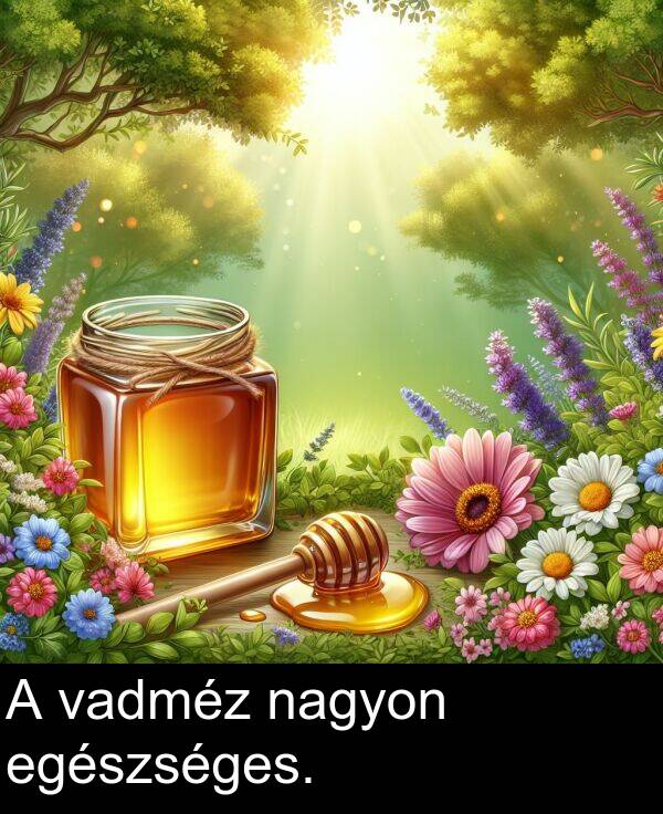 nagyon: A vadméz nagyon egészséges.