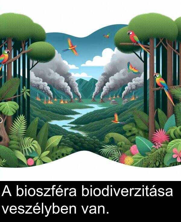 van: A bioszféra biodiverzitása veszélyben van.