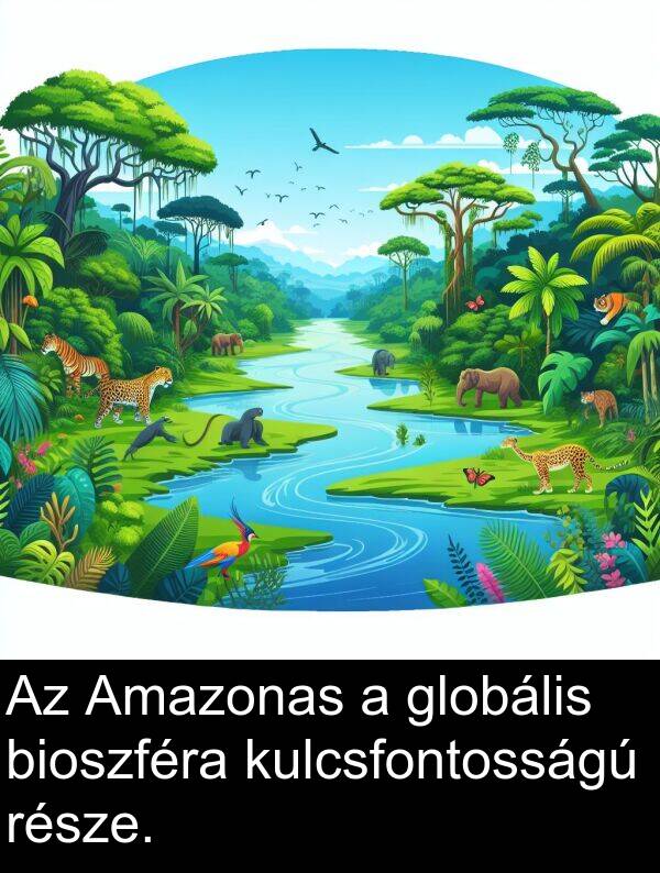 része: Az Amazonas a globális bioszféra kulcsfontosságú része.