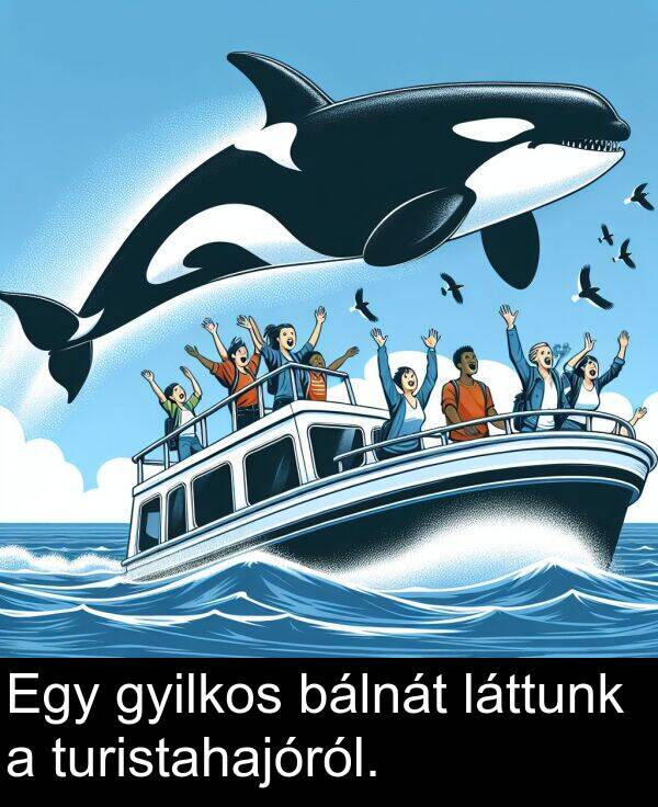 bálnát: Egy gyilkos bálnát láttunk a turistahajóról.