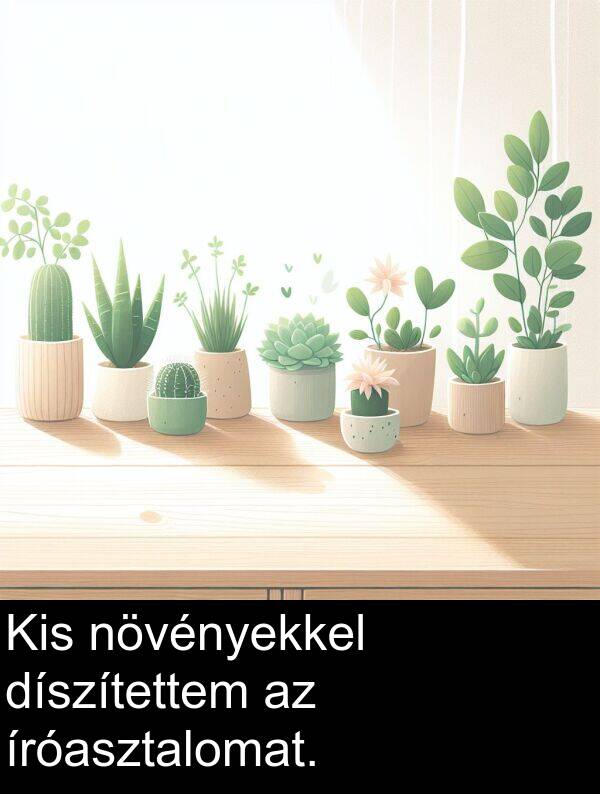 díszítettem: Kis növényekkel díszítettem az íróasztalomat.