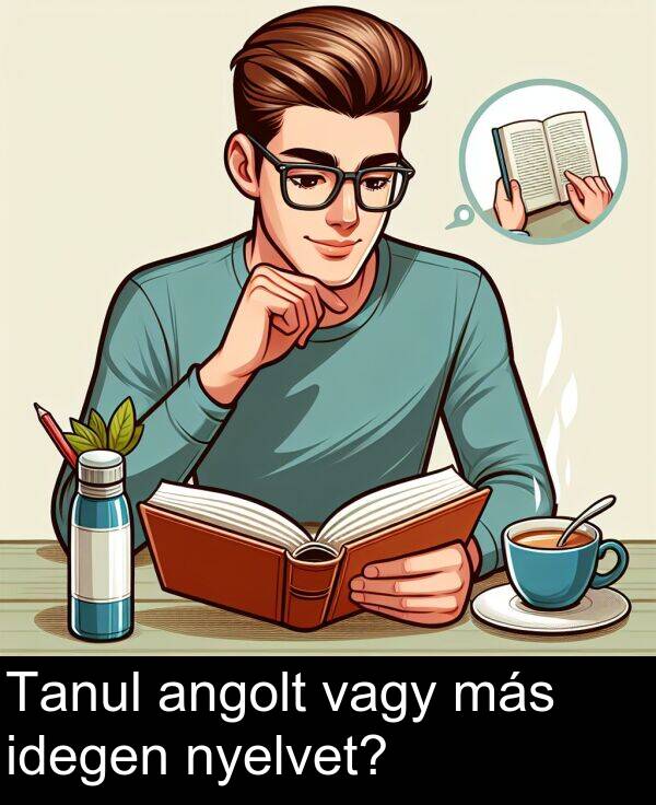 vagy: Tanul angolt vagy más idegen nyelvet?