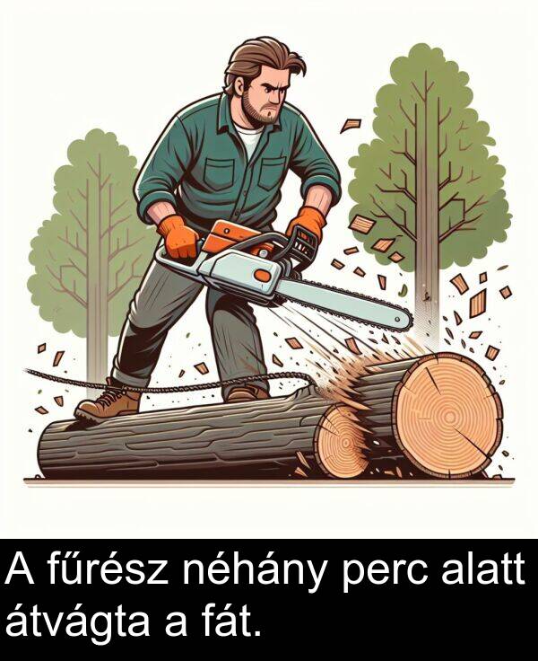 perc: A fűrész néhány perc alatt átvágta a fát.