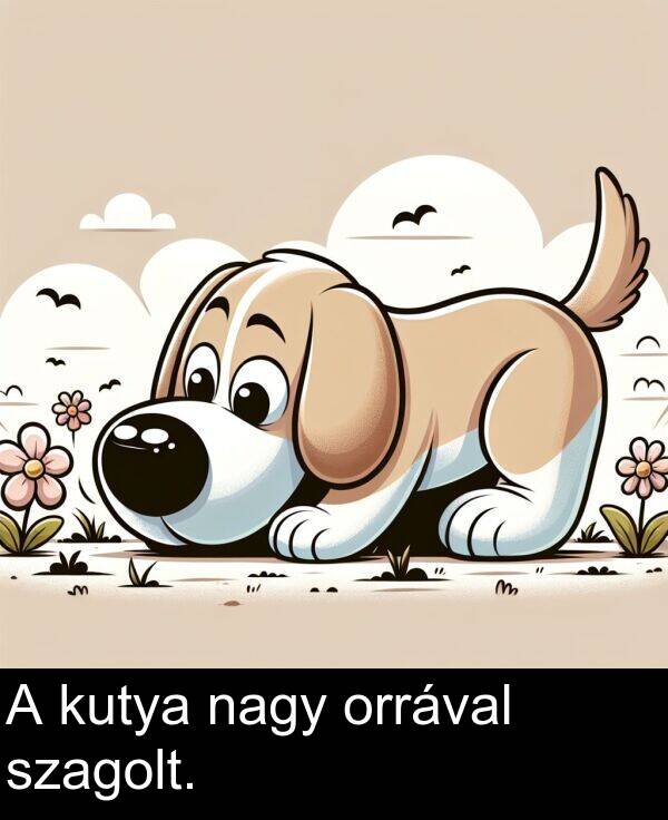 nagy: A kutya nagy orrával szagolt.