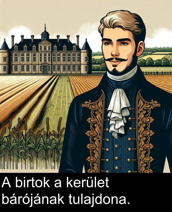 tulajdona: A birtok a kerület bárójának tulajdona.