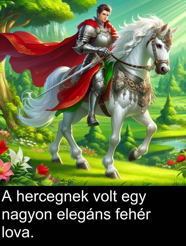 fehér: A hercegnek volt egy nagyon elegáns fehér lova.