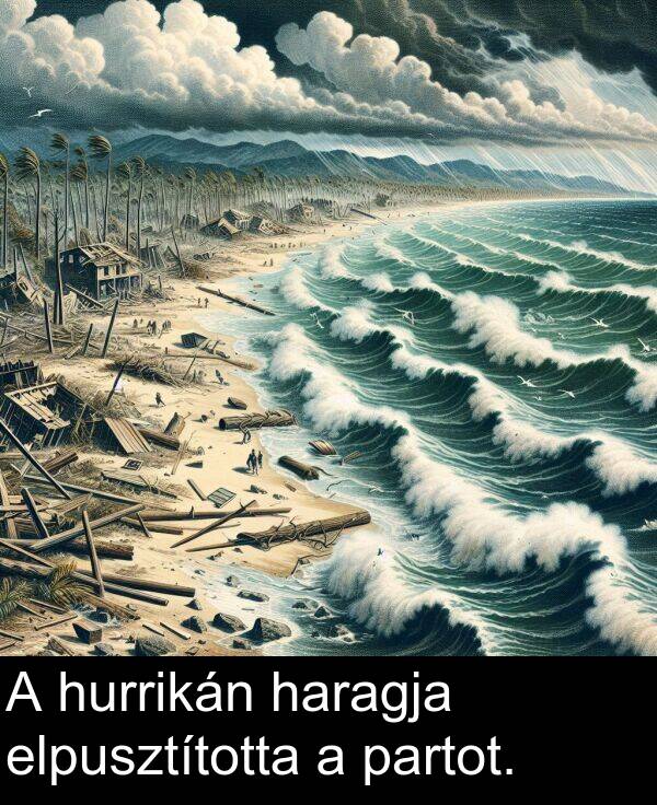 haragja: A hurrikán haragja elpusztította a partot.