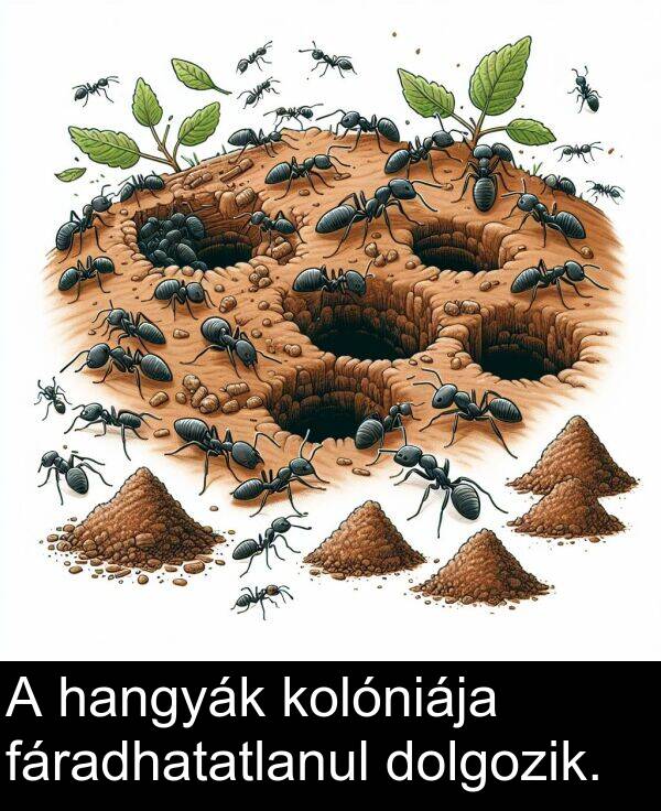 dolgozik: A hangyák kolóniája fáradhatatlanul dolgozik.