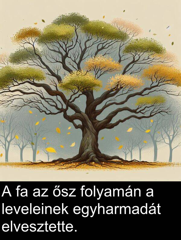ősz: A fa az ősz folyamán a leveleinek egyharmadát elvesztette.