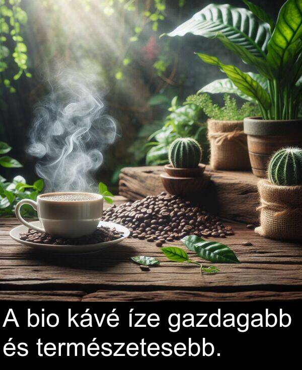 természetesebb: A bio kávé íze gazdagabb és természetesebb.