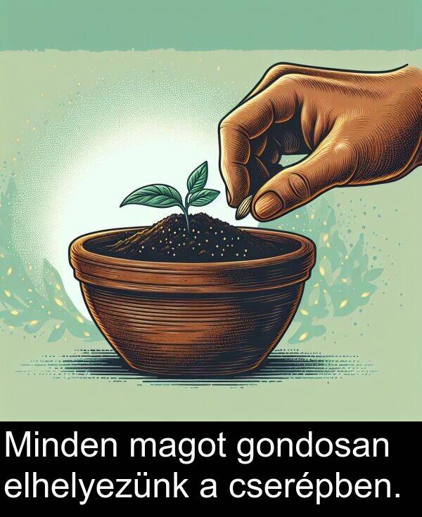 cserépben: Minden magot gondosan elhelyezünk a cserépben.