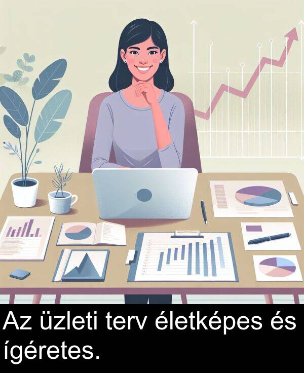 terv: Az üzleti terv életképes és ígéretes.