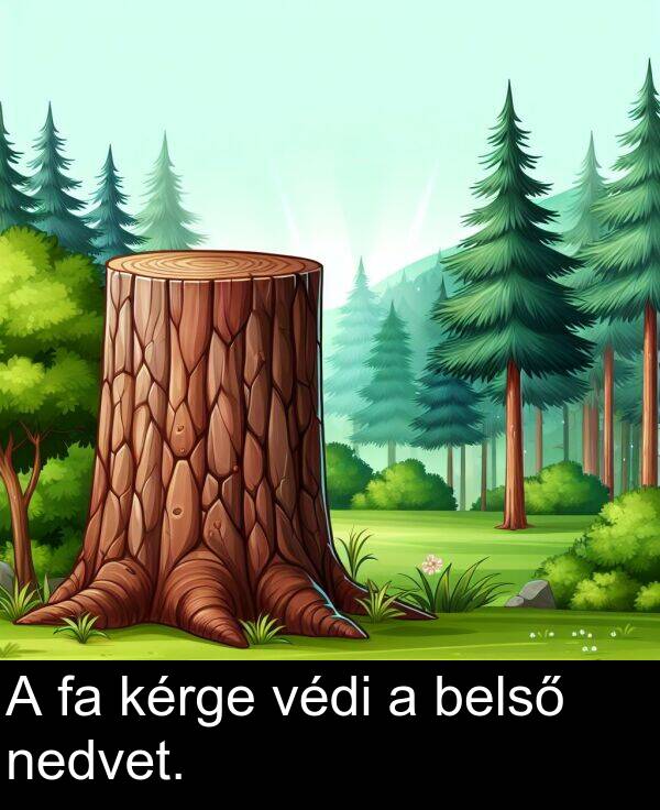 védi: A fa kérge védi a belső nedvet.