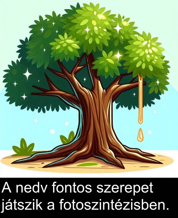 játszik: A nedv fontos szerepet játszik a fotoszintézisben.