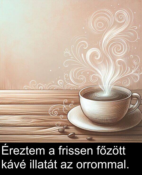 orrommal: Éreztem a frissen főzött kávé illatát az orrommal.