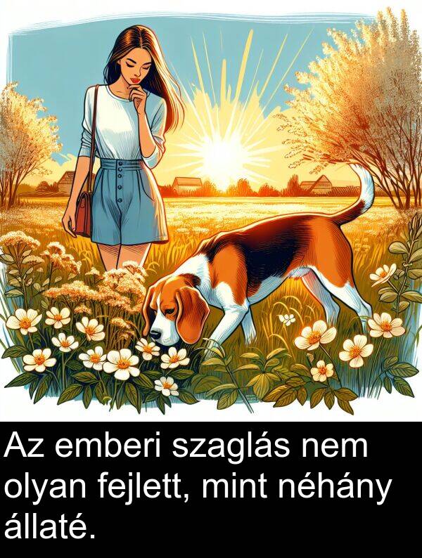 mint: Az emberi szaglás nem olyan fejlett, mint néhány állaté.