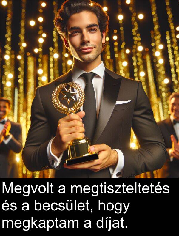 megkaptam: Megvolt a megtiszteltetés és a becsület, hogy megkaptam a díjat.