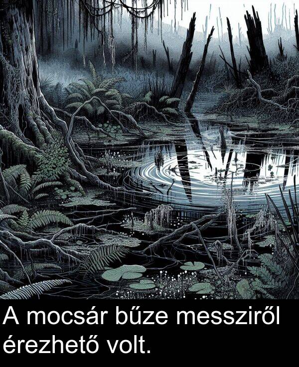 mocsár: A mocsár bűze messziről érezhető volt.