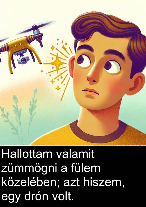 valamit: Hallottam valamit zümmögni a fülem közelében; azt hiszem, egy drón volt.