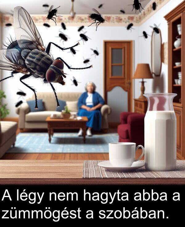 hagyta: A légy nem hagyta abba a zümmögést a szobában.