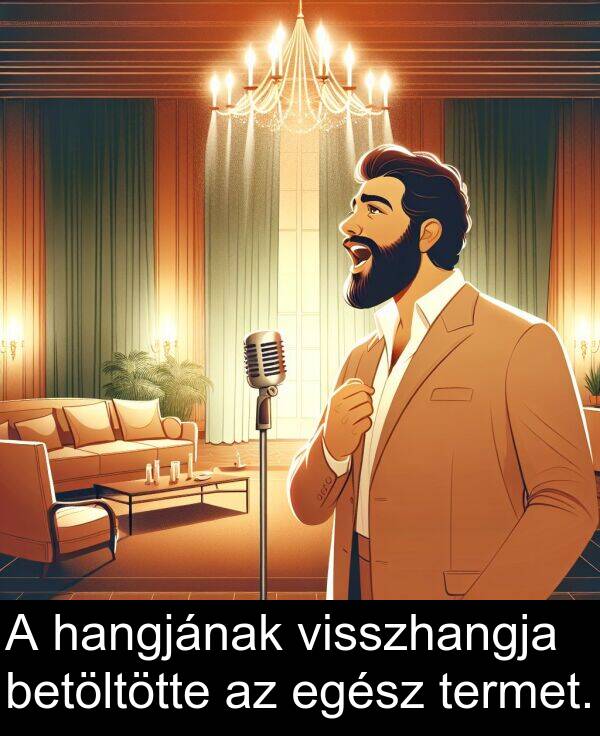 visszhangja: A hangjának visszhangja betöltötte az egész termet.