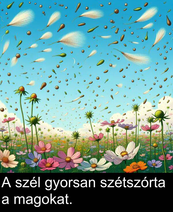 magokat: A szél gyorsan szétszórta a magokat.
