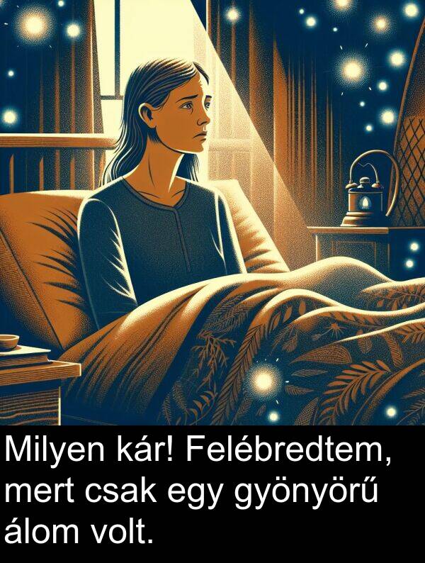 mert: Milyen kár! Felébredtem, mert csak egy gyönyörű álom volt.