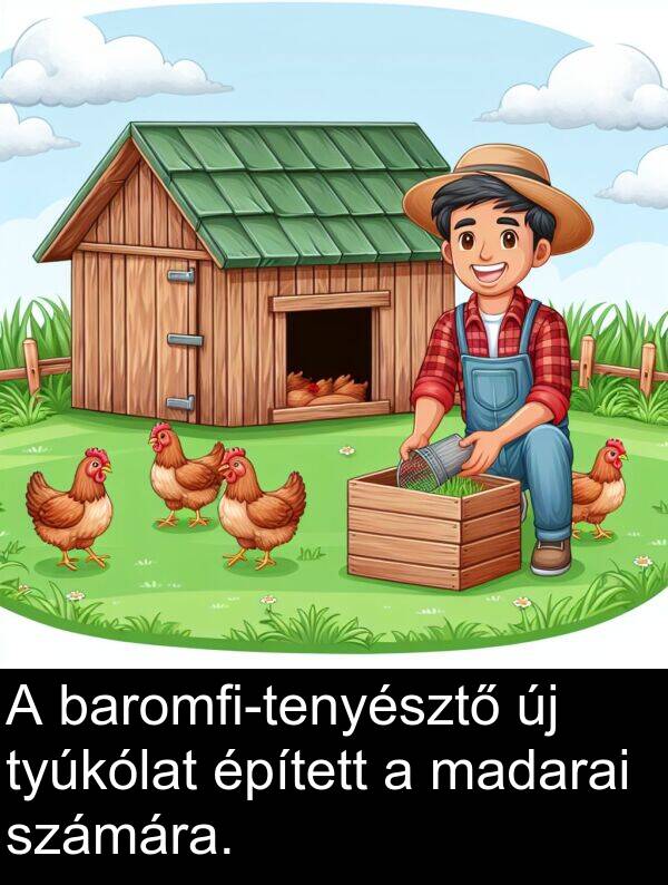 madarai: A baromfi-tenyésztő új tyúkólat épített a madarai számára.