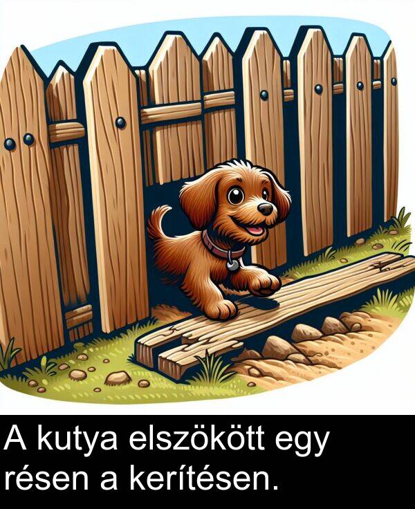 résen: A kutya elszökött egy résen a kerítésen.