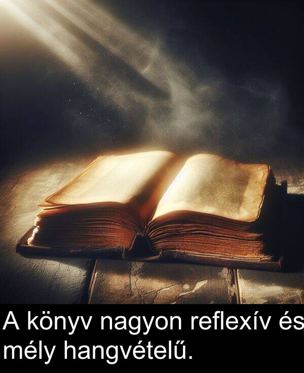 hangvételű: A könyv nagyon reflexív és mély hangvételű.