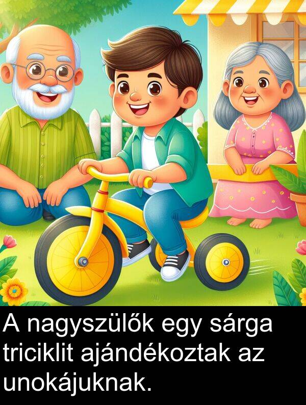 nagyszülők: A nagyszülők egy sárga triciklit ajándékoztak az unokájuknak.