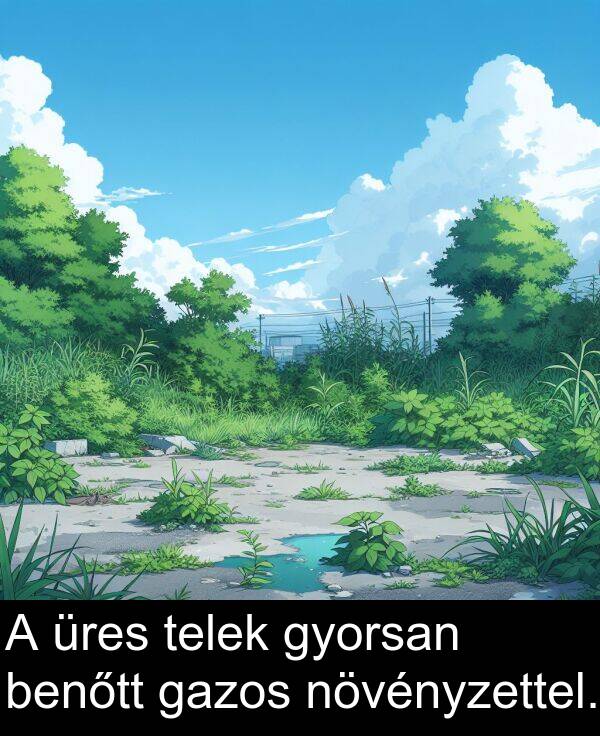 növényzettel: A üres telek gyorsan benőtt gazos növényzettel.