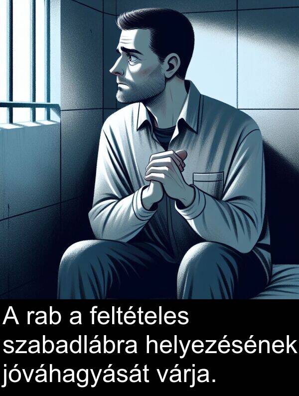 rab: A rab a feltételes szabadlábra helyezésének jóváhagyását várja.