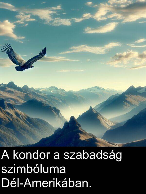 szabadság: A kondor a szabadság szimbóluma Dél-Amerikában.
